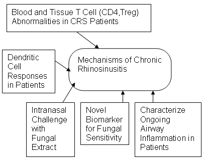 Mechanisms of Chronic Rhinosinusitis