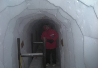 2007 Study Updates/Photos