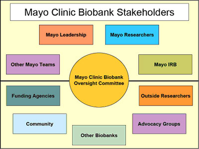 Diagram of Mayo Clinic biobank stakeholders