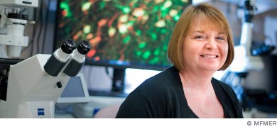 Mayo Clinic Graduate School of Biomedical Sciences - Mayo Clinic