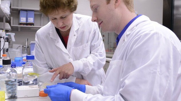 Researchers in the Vaccine Research Group at Mayo Clinic study the genetic drivers of viral response to create effective vaccines
