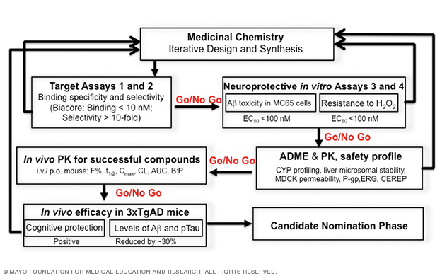 A graphic illustration showing Dr. Trushina's Discovery Funnel to identify new small molecules that modulate mitochondrial function, a novel therapeutic approach for Alzheimer's disease