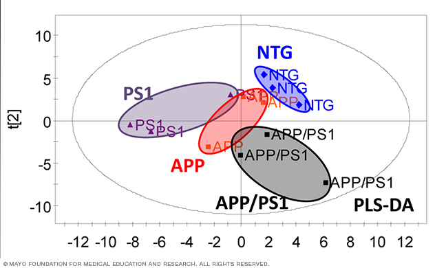 Graphic illustration showing that metabolic profiles in hippocampal brain tissue acquired using metabolomics differ between control mice and Alzheimer's disease model mice