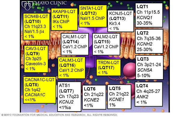 Image showing summary of LQTS-susceptibility genes