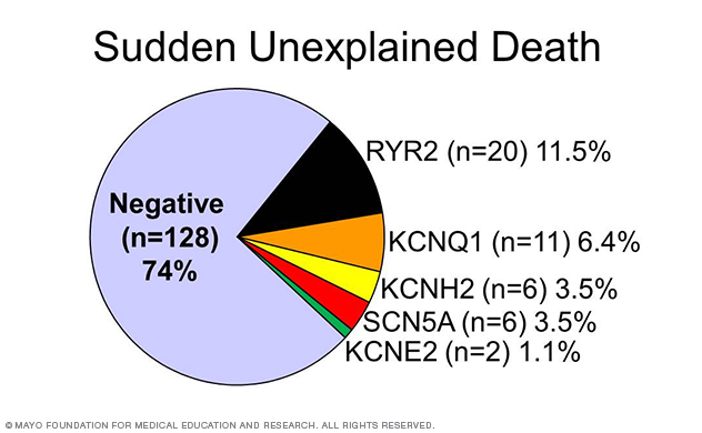 Image showing comprehensive mutational analysis of all 60 translated exons in the LQTS-associated genes in sudden unexplained death