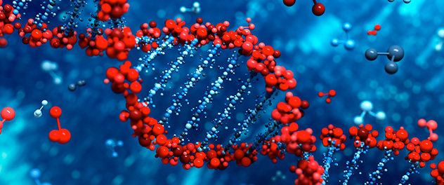 Molecular strands for the Brain Tumor PDX National Resource