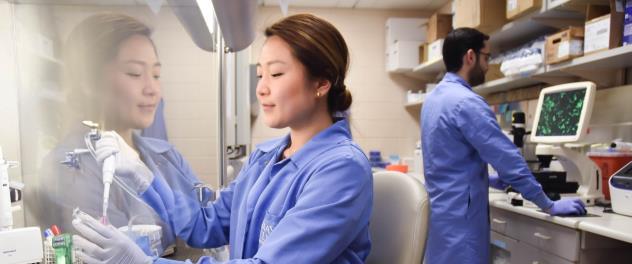 Dr. Rossoll's Neurobiology of Neurodegenerative Diseases Lab is discovering therapeutic targets for neurodegenerative diseases by modeling disease processes in cultured cells.