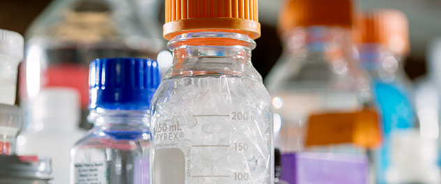 The Gene and Virus Therapy Program of Mayo Clinic Comprehensive Cancer Center uses genes and viruses to attack tumors.