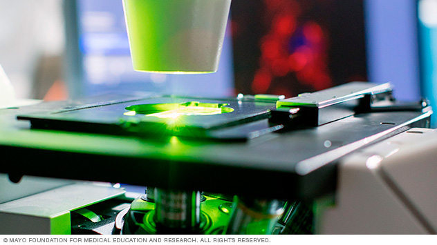 The Cell and Regenerative Physiology lab of Gary C. Sieck, M.D., explores using locally implanted genetically engineered mesenchymal stem cells to produce BDNF to improve breathing in spinal injury patients.