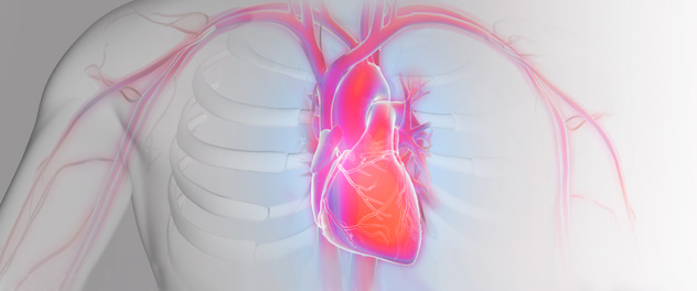 The Echo Core Lab at Mayo Clinic promotes optimal utilization of echocardiography in clinical investigations and practice.