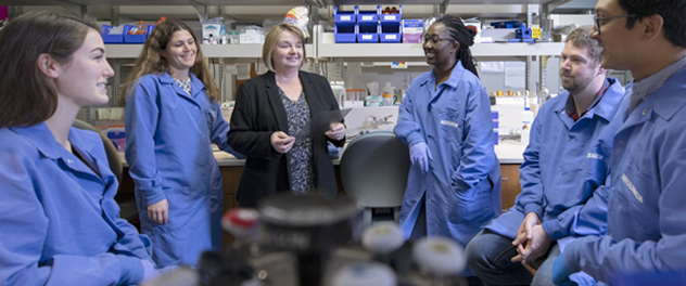 Mayo Clinic's Neurobiology of Parkinson's Disease Lab offers training opportunities at the undergraduate, pre-doctoral and post-doctoral levels in Florida.