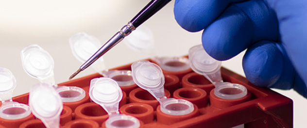 The Neurobiology of Parkinson's Disease Lab aims to translate laboratory findings into transformative therapies at Mayo Clinic's campus in Florida.