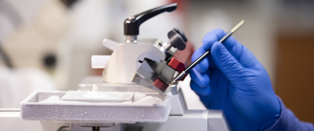 Mayo Clinic's Neurobiology of Parkinson's Disease Lab in Florida studies disease-associated molecular changes using animal models.