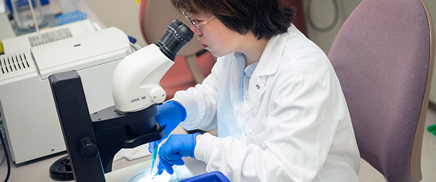 Researcher in Dr. Lanza's Muscle Physiology and Metabolism Laboratory