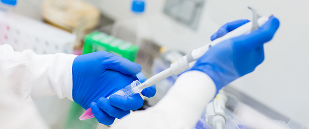 Image of research in the Ross Stroke and Vascular Disease Lab at Mayo Clinic.