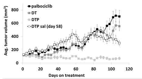 Graph showing robust synergy when palbociclib, dabrafenib and trametinib are used in combination in a melanoma patient-derived tumor xenograft (PDTX) model