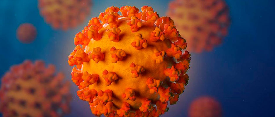 Research At Mayo Clinic Mayo Clinic Research