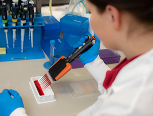 A lab researcher uses a multichannel pipette to dispense liquid into the wells of a plate.