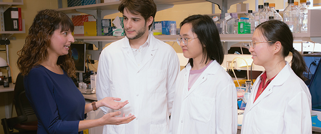 Three trainees working with a mentor