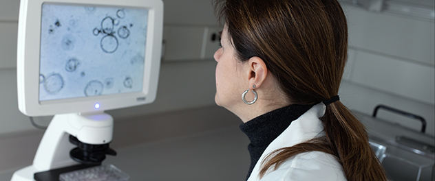 Liver Pathobiology Lab staff member viewing computer models of organoids at Mayo Clinic.