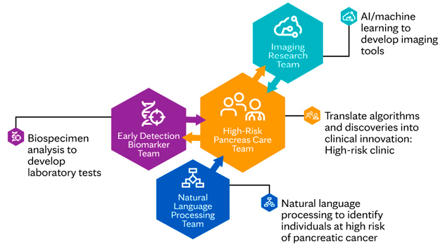 Research - Pancreatic Cancer Early Detection Research Program - Mayo Clinic  Research
