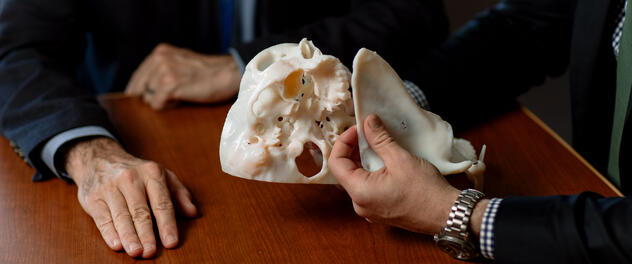 Two people examine a model skull