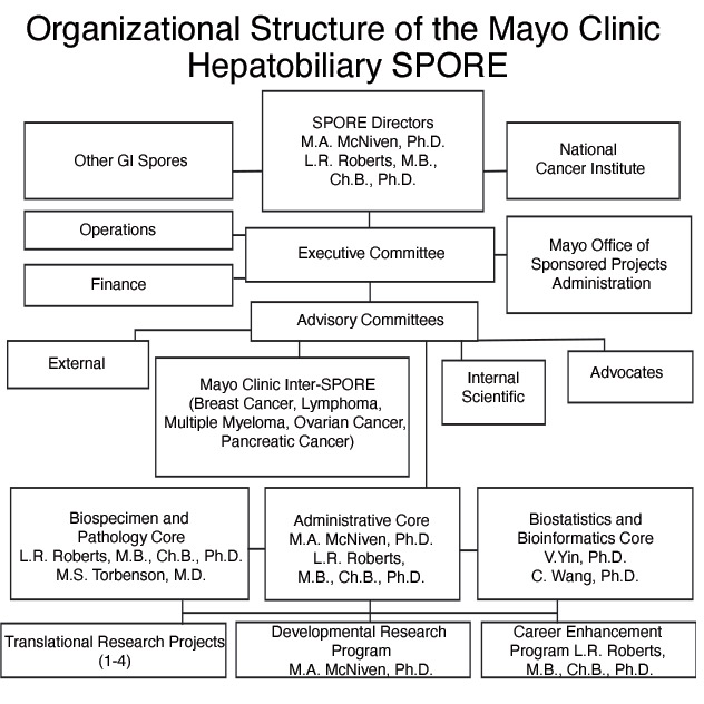 Chart showing the organizational structure of the Hepatobiliary SPORE
