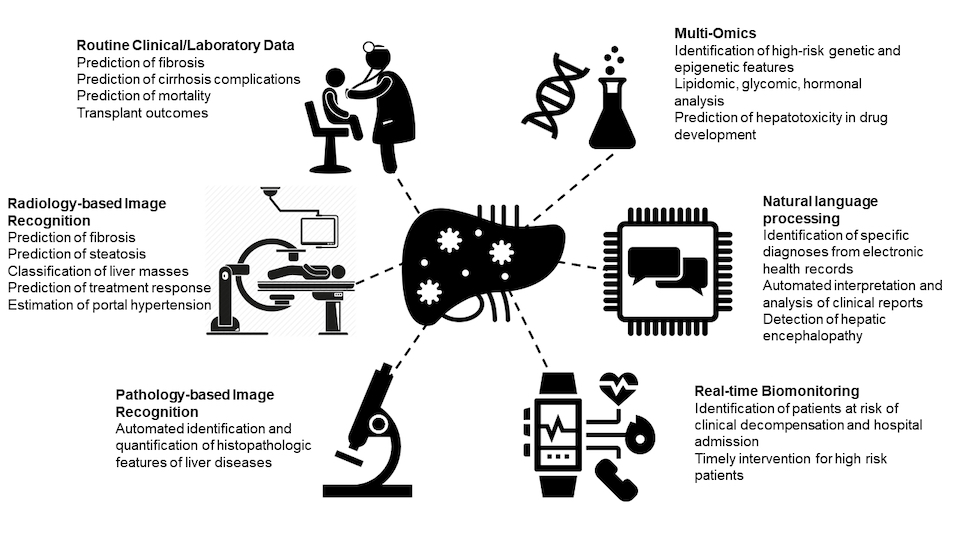 Figure showing clinical application of AI in liver disease research