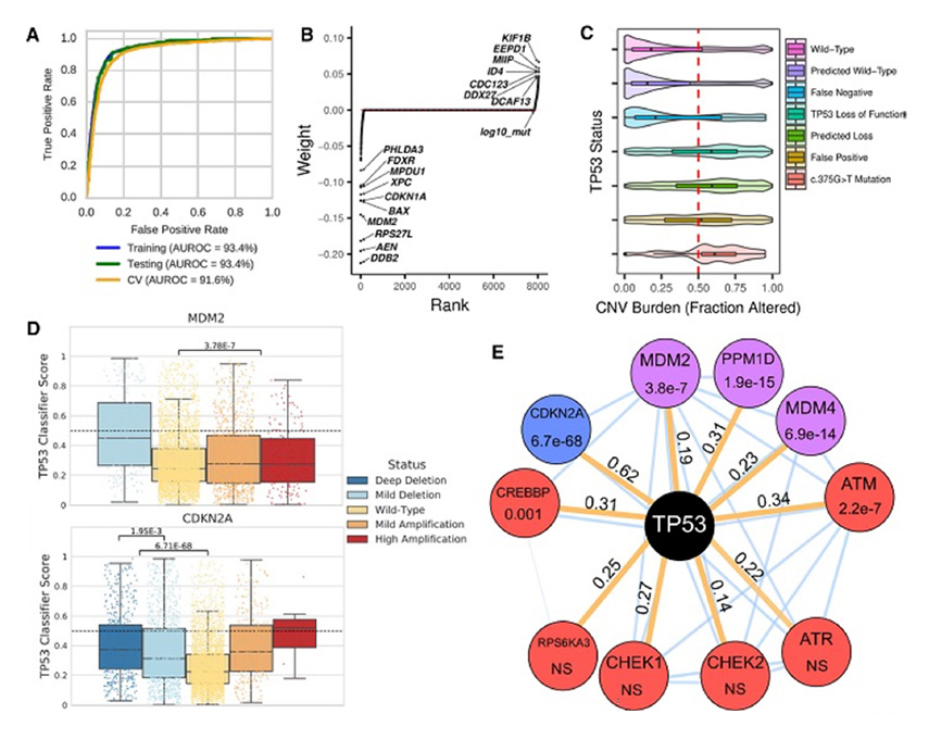 Image showing TCGA work and machine learning
