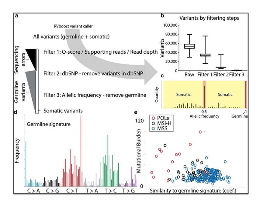 Image showing mutational signature inference