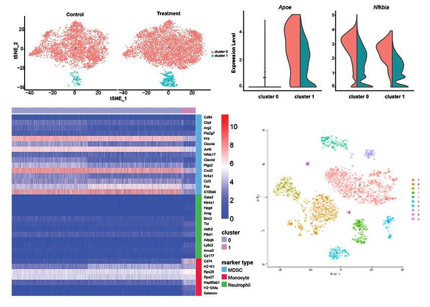 Image showing single-cell RNAseq (scRNA)