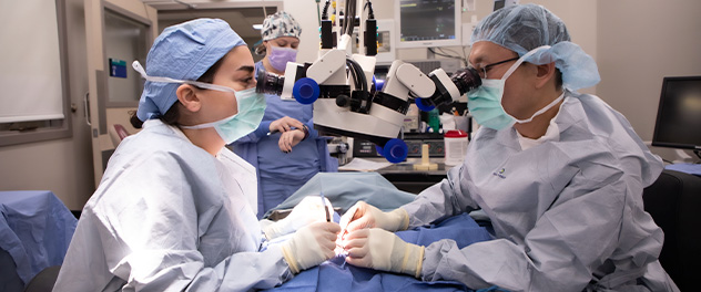 Photograph showing lab members performing microsurgical nerve reconstruction