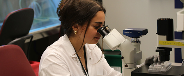 Photograph showing a lab team member looking in a microscope