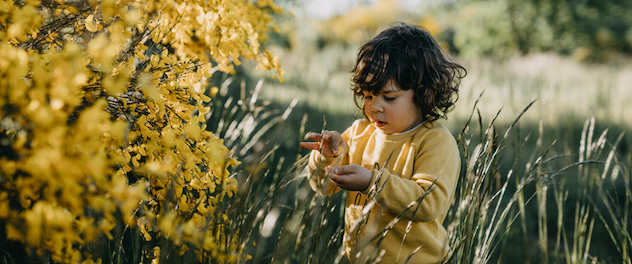 Little girl in a field counting flower petals