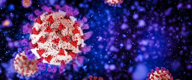 Overview Division of Infectious Diseases Mayo Clinic Research