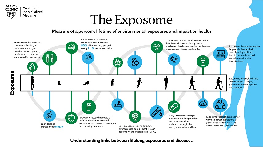 Diagram illustrating the concept of the exosome