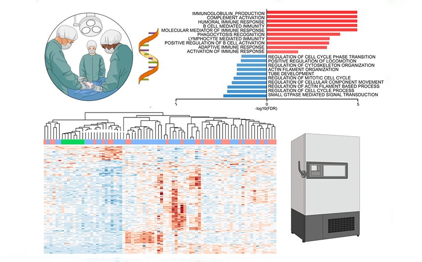 Image showing how defining individual genomic, proteomic and metabolomic composition can help determine optimal heart failure therapies