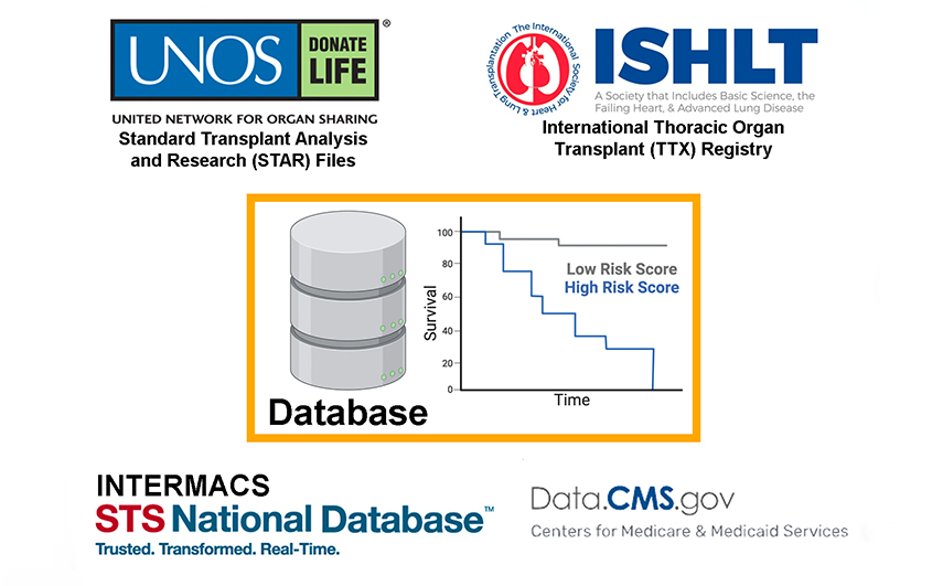 Illustration showing how examining large national and international databases sheds light on important management issues in heart failure