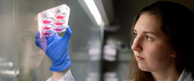 Researcher reviewing lab specimens