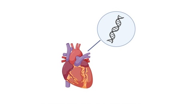 Monogenic Graph Monogenic Risk - eMERGE Genome Informed Risk Assessment - Mayo Clinic ...