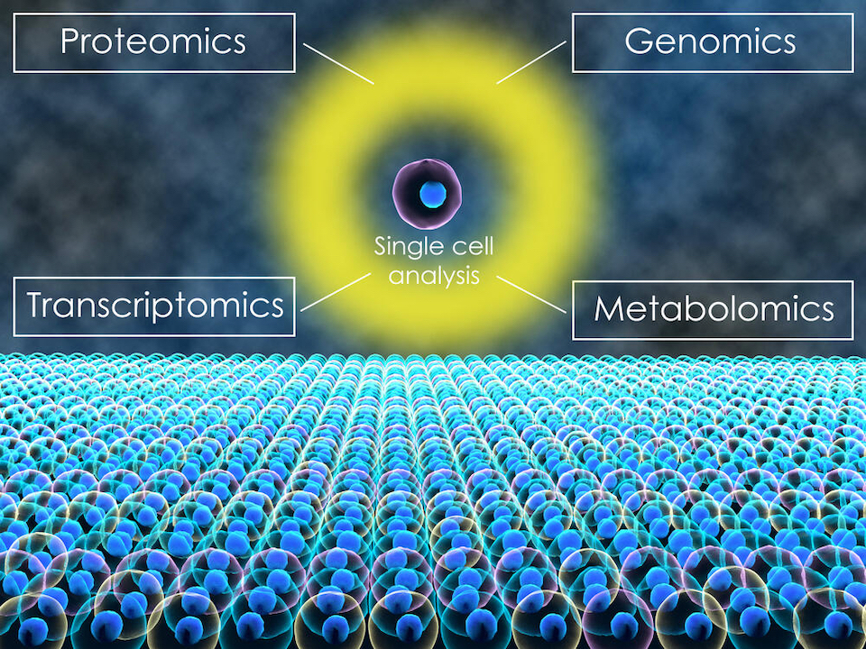 3D illustration of single cell analysis