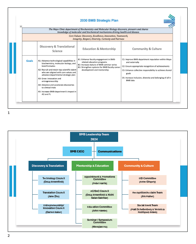 Biochemistry and molecular biology department's 2030 strategic plan, goals and core values with leadership team organization chart for implementation