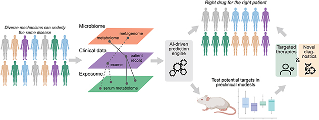 This diagram shows that by using AI approaches on multi-omics measurements in patients, we can better identify which drug is best suited for which patient at the same time we can validate these approaches in preclinical models.