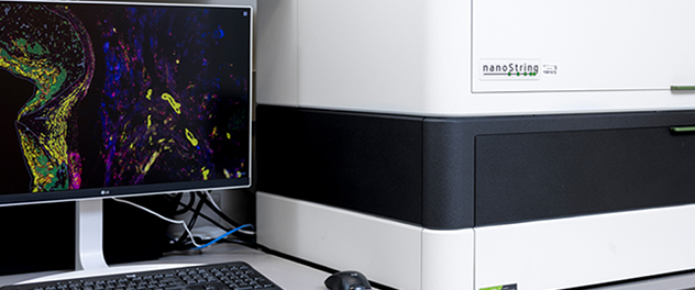 A computer monitor displays an image of a tissue sample stained in yellow, green, magenta and blue to show different regions of the tissue. The monitor sits adjacent to the machine that created the scanned tissue image.