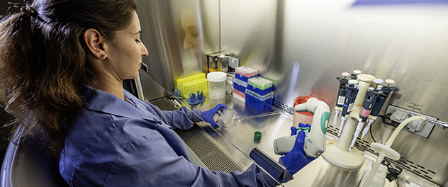 A lab member performs cell culture tasks.