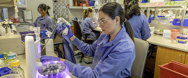 Lab staff and students perform experiments at the laboratory bench.