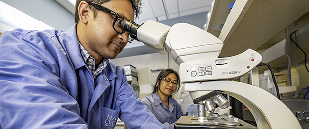 Staff members look down a microscope, discuss what they see and take notes.