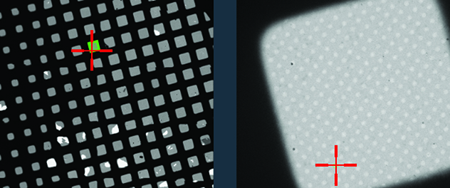 Magnified views of a cryoEM grid