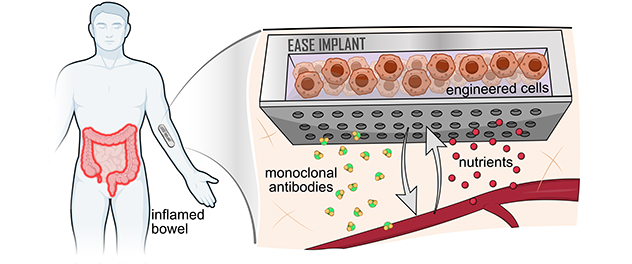 A living pharmacy device being developed as a part of ARPA-H funded project