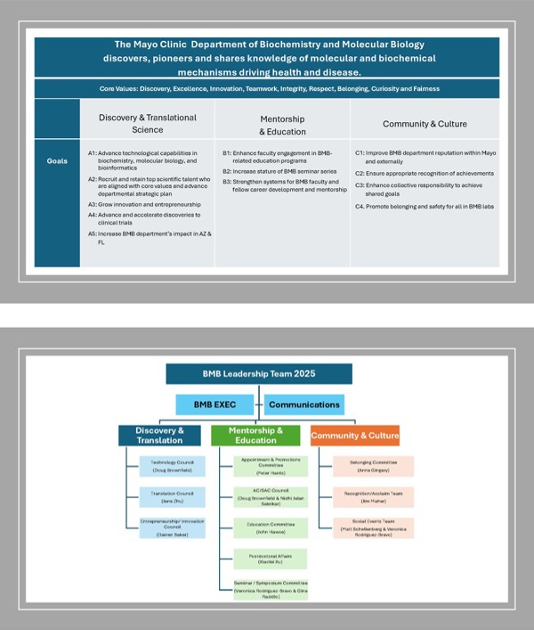 Biochemistry and Molecular Biology Department's 2030 strategic plan, goals and core values with leadership team organization chart for implementation